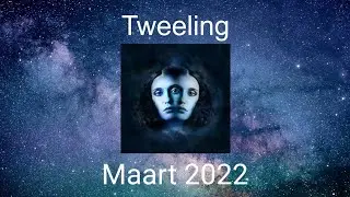 Sterrenbeeld maand reading Tweeling: Maart 2022
