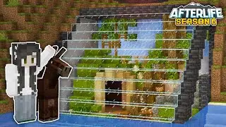 💎Покупка ЛУЧШЕГО мула и создание роскошного террариума🕷️| Afterlife SMP, эпизод 3