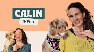 Methode SIMPLE pour apprendre au chien à poser sa tête sur l'épaule