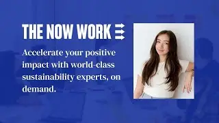 ASP Members Discover The Now Work talent platform dedicated to sustainability. July 2024