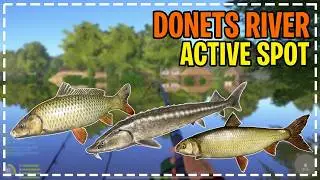 Russian Fishing 4 RF4  | Seversky Donets River SPOT | wild carp, catfish, sturgeon, kutum, burbot
