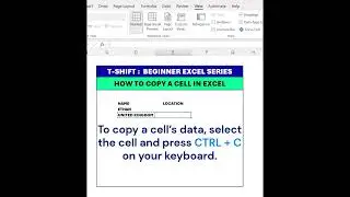 Excel for Beginners: Copy & Paste Cells