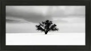 Frame TV Art 4K : Minimalist Lone Tree Winter Landscape + Calming Ambience