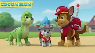 Paw Patrol & Dino Freinds