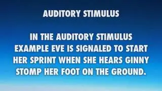 Sensory motor integration