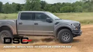 DSC Sport - Adjust Default Rate