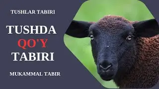 TUSHDA QO'Y TABIRI | TUSHDA QO'Y KO'RISH NIMAGA ISHORA BO'LADI?