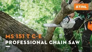 MS 151 T C-E Professional Chain Saw | STIHL