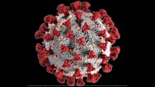 CORONAVIRUS - EXPLAINED a simple guide to the virus and biology. How does Coronavirus work?