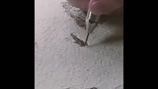 Every fossil’s story begins the same way — unearthed from stone and time itself.