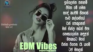 Sinhala top 10 EDM Mixtape | Avi beats