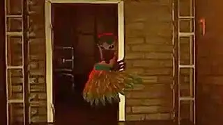 bird up