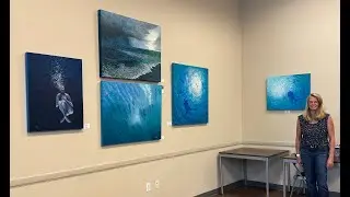 Paintings by Deb van Riet