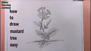How TO Draw mustard tree easy/draw a simple plant
