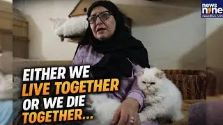 'Either we live together or we die together,' says Lebanese about the 70 cats she cares for | Beirut