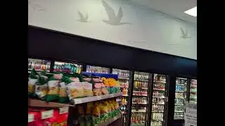 Just my usual WAWA order (Daily life vlog 1)