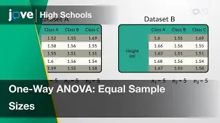 One-Way ANOVA: Equal Sample Sizes | Statistics | Video Textbooks - Preview