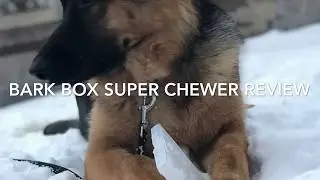 BarkBox Super Chewer Review! With Zeus The GSD!! FEB 2019🐶 😁