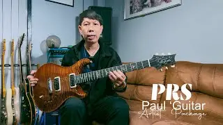 Prs Paul &lsquo;s Guitar Artist Package #2 By Guitarcoach Shop