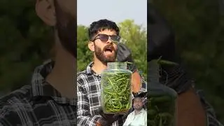 Eating pure spicy capsaicin #food #experiment #challenge #ytshorts #foryou #trending #spicy#chily