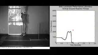 Dr. Jason Lake: Force & Movement