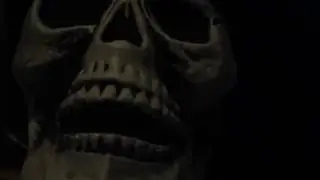 Skeletons - Aaron Romeo