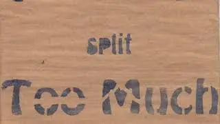 damages / too much brains - split (2010)