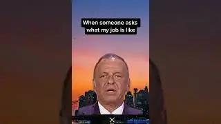When Someone Asks What My Job Is Like #funny