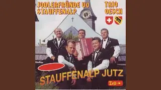 Wenn i Gäld gnue hät