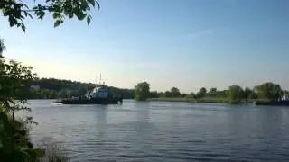 bor1