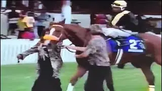 Nicodemus-Anderson Ward Breeders Classic 2001