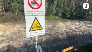 Storm Chandra: Flooding along the Dodder in Dublin