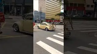 fusca  raridade