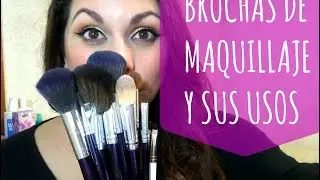 Brochas de Maquillaje y sus Usos