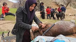 Life in the Mountains | A Nomadic Family Helping Every Neighbor with Heart ❤️