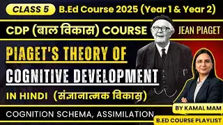Piaget Theory of Cognitive Development B.Ed Notes | Schema, Assimilation | B.ed 1st Year Classes