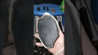 My Flintknapping Tools & Materials #flintknapping
