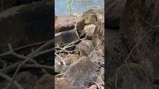 Ne jamais p&ecirc;cher en hauteur 😂