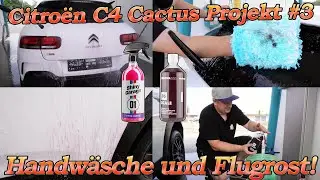 Citroën Projekt Teil 3 - bitter nötige Handwäsche mit saurem Shampoo und Flugrost entfernen
