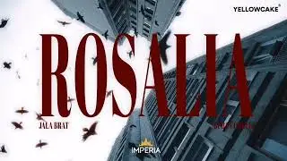JALA BRAT x BUBA CORELLI - ROSALIA ( NIKOLCE ZVER Remix)