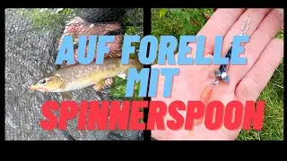 Auf FORELLE am kleinen BACH mit SPINNER SPOON