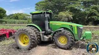 😱3 TRACTORES 🚜 John Deere 8320 R trabajan en lote de culto de caña de azúcar descepando 🚜💪🏻#farming
