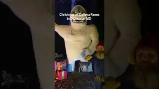 Christmas at Calleva Farms! They are only open one more night! #maryland #holiday #christmas
