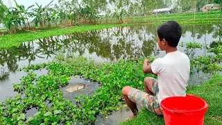Best Hook Fishing 2022 | Little Boy Hunting Big Fish By Hook From Beautiful Nature (Part-02)