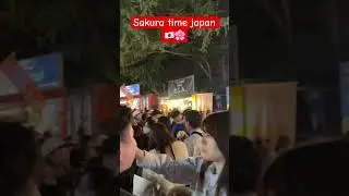 Sakura time japan #japan #japanupdate #shortsviral #japannews #sakura