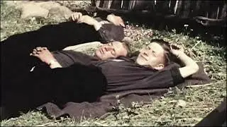 During nazi occupation of Ukraine