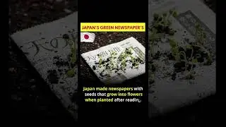 Japan's Green Newspaper 🤯