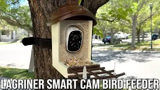 Lagriner 2K Smart Security Cam Bird Feeder