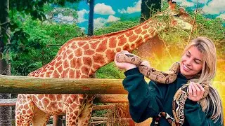COMPREI UM ZOOLÓGICO!!