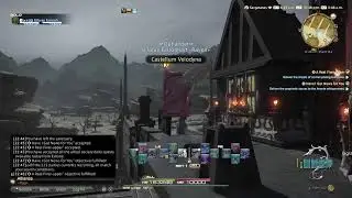 Final fantasy XIV 7.4 squadron, Island sanctuary and 4.0 Beast tribes quests